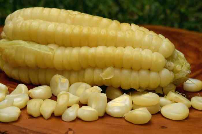 Corn peruvian machu picchu