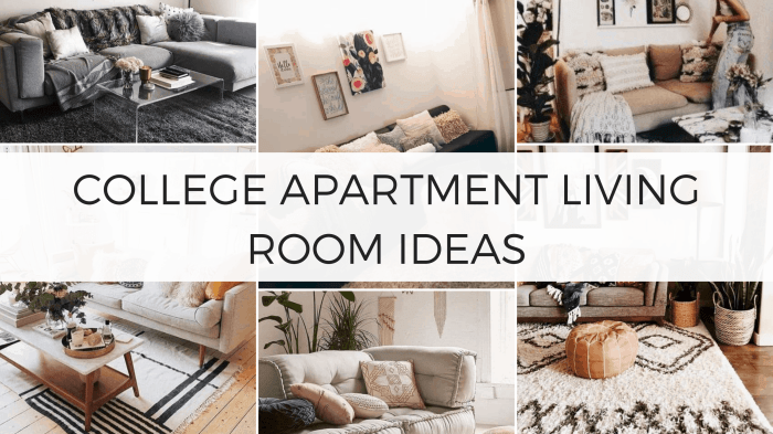 How to decorate a college living room